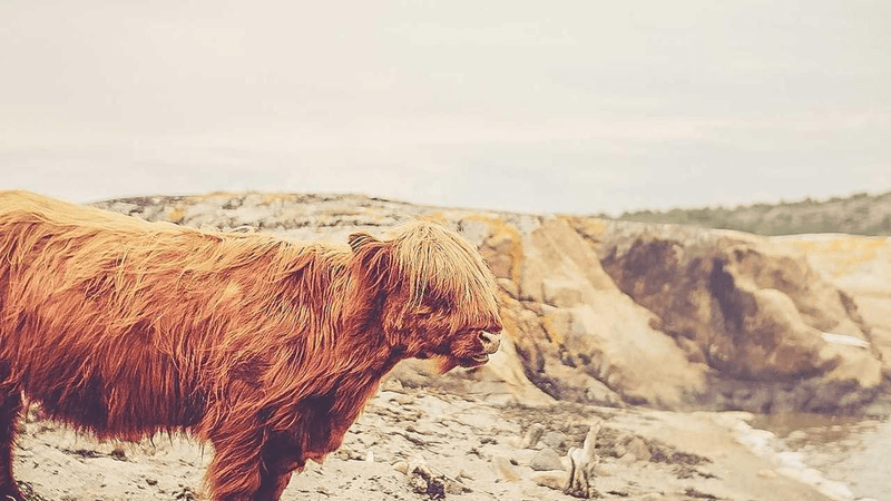 Balance - professional stock photography