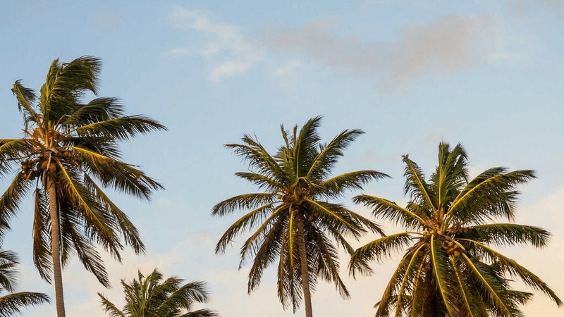 Balance - professional stock photography