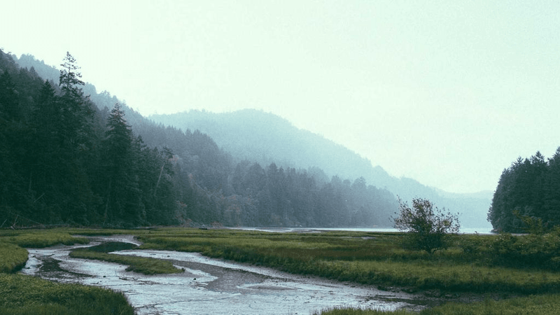 Books - professional stock photography