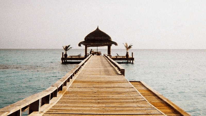 Growth - professional stock photography